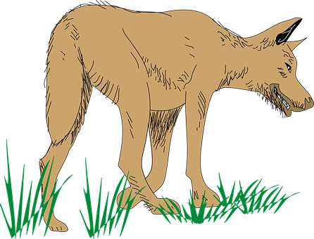 Illustrated Wolfin Grass PNG Image