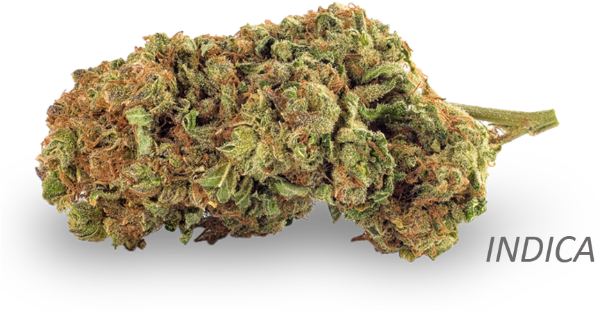 Indica Cannabis Nugget PNG Image