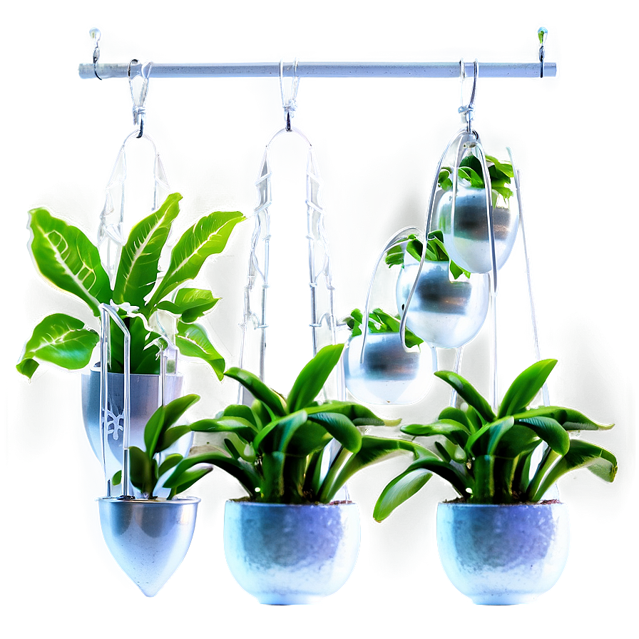 Indoor Hanging Plant Png 05252024 PNG Image