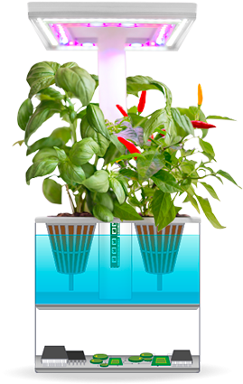 Indoor Hydroponic Garden System PNG Image