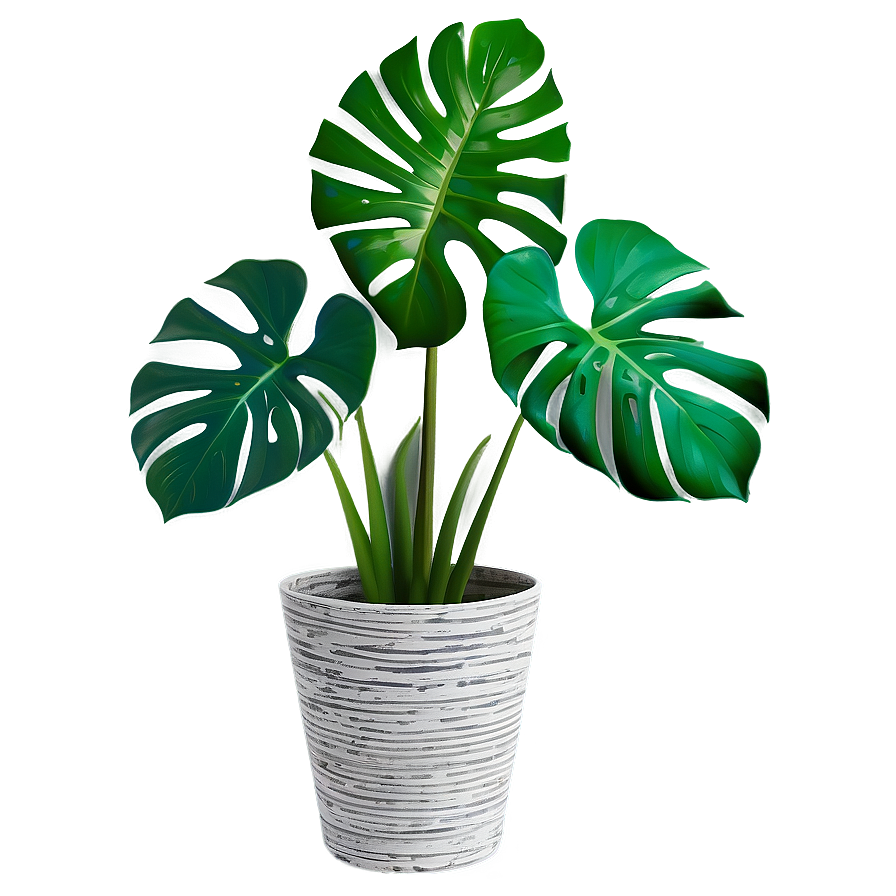 Indoor Monstera Plant Png Mxh PNG Image