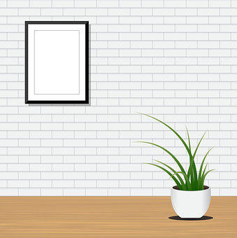 Indoor Plant White Wall Decor PNG Image