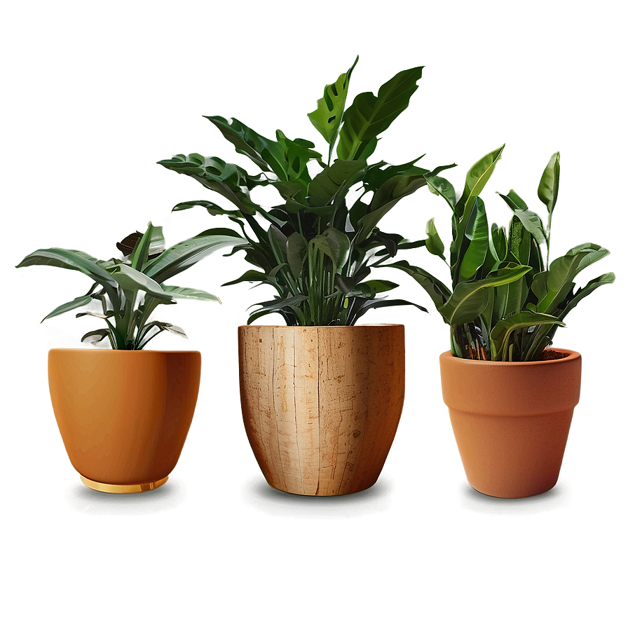 Indoor Plants In Pots Png 17 PNG Image