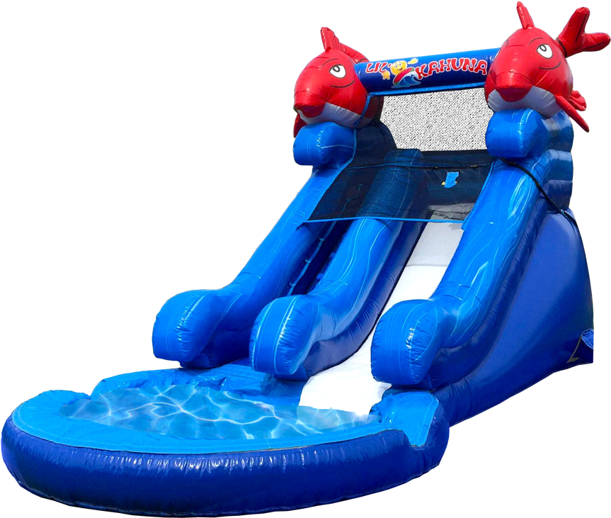 Inflatable Dolphin Water Slide PNG Image