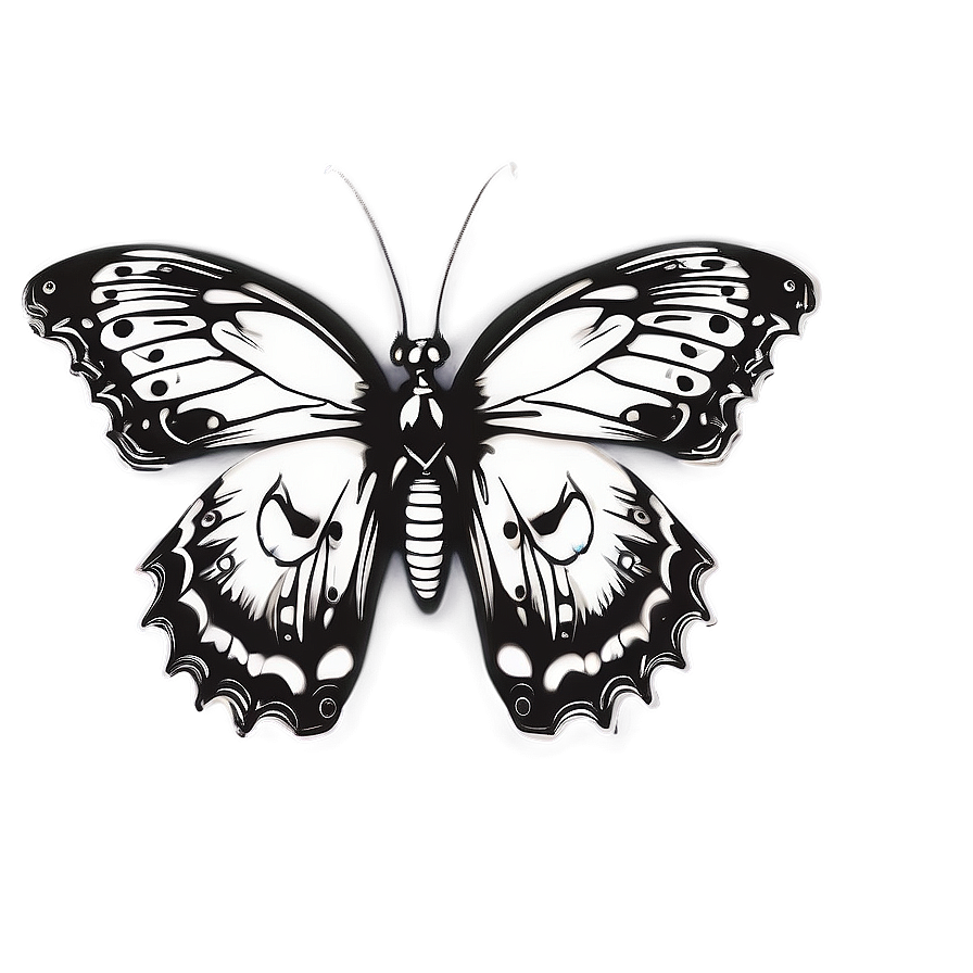 Inspirational Butterfly Outline Png 69 PNG Image