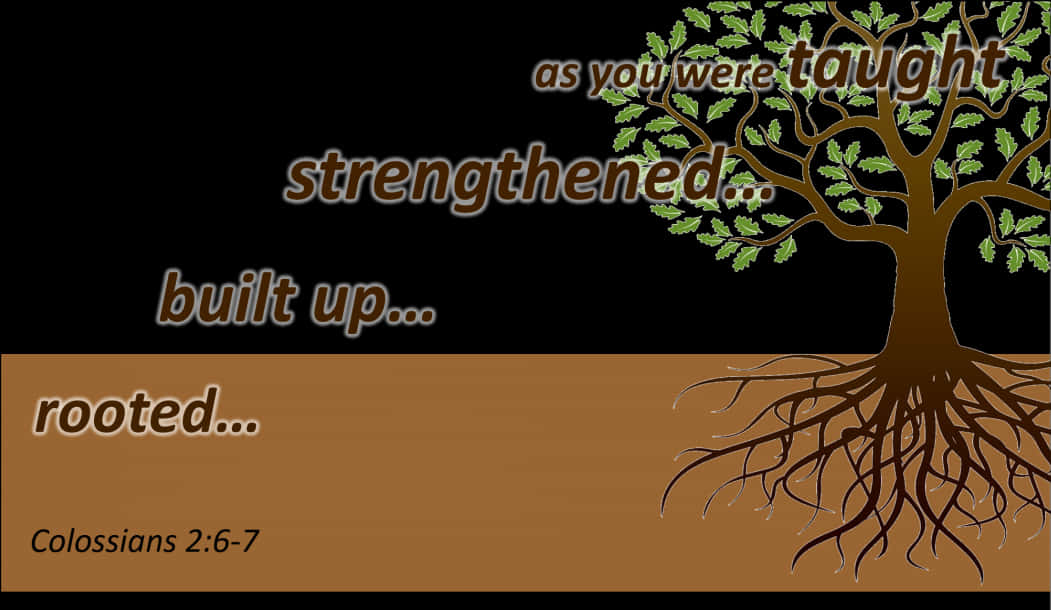 Inspirational Tree Roots Colossians Biblical Verse PNG Image