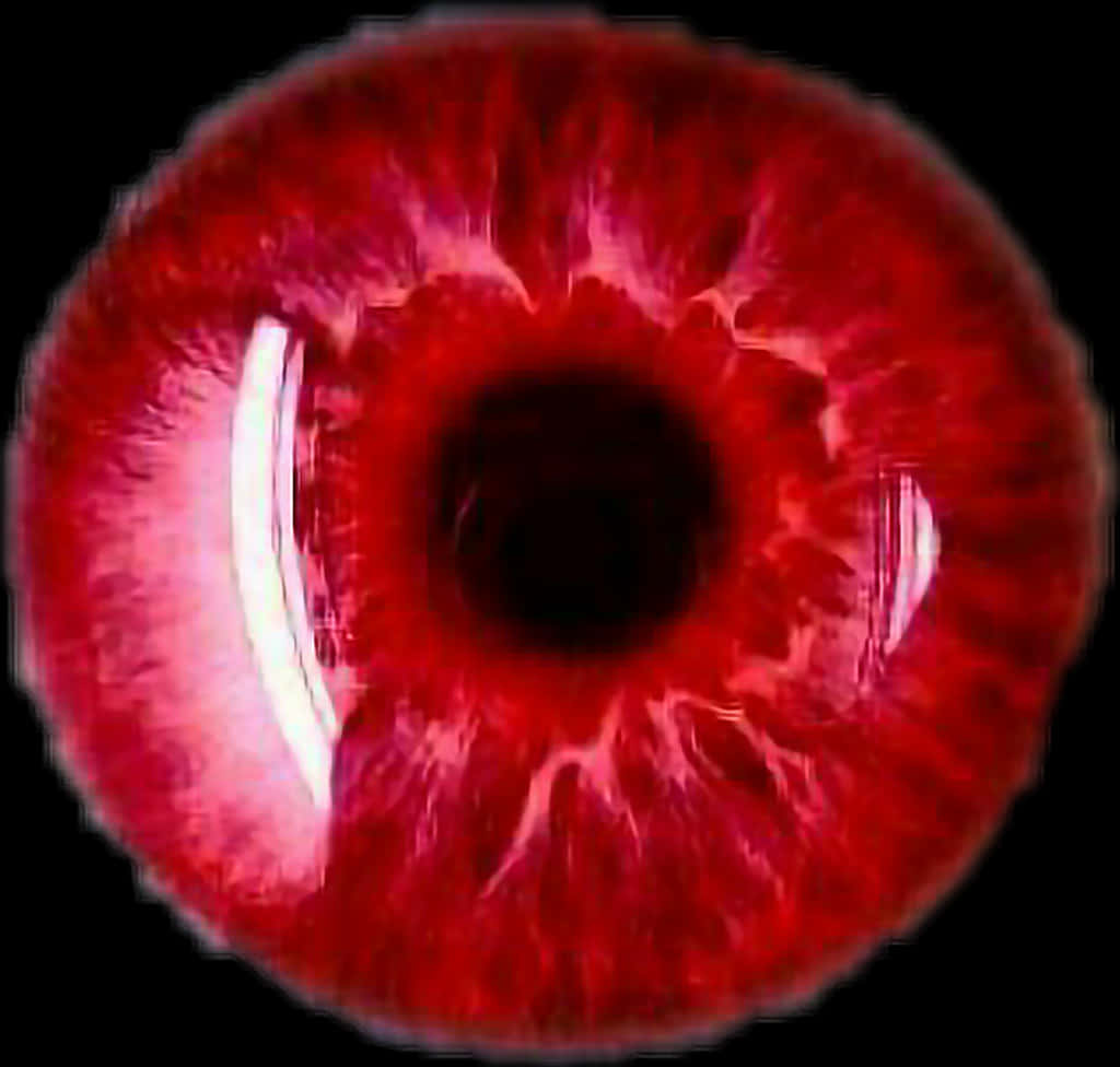 Intense Red Eye Closeup.jpg PNG Image