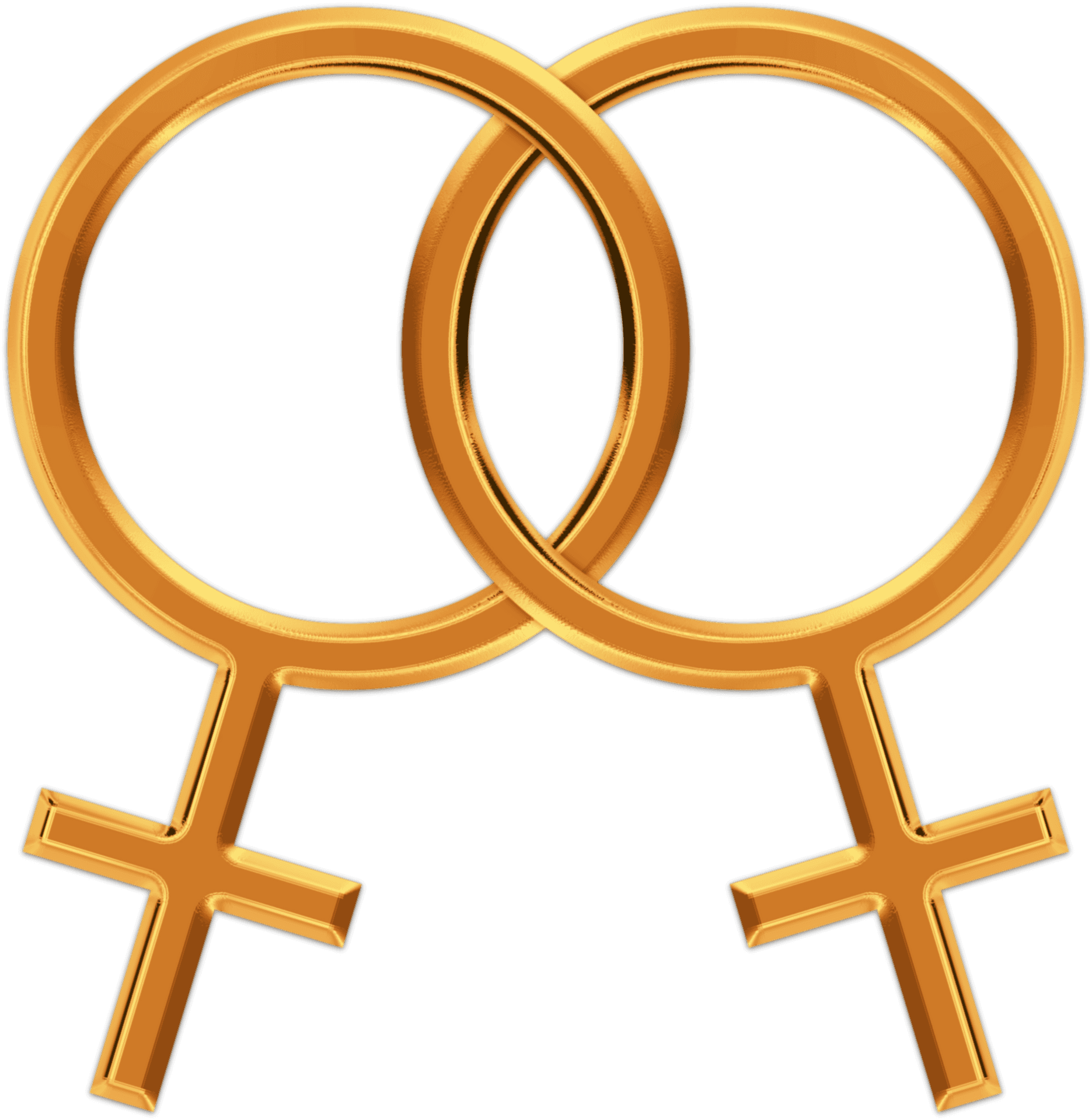 Interlocked Female Symbols Lesbian Pride PNG Image