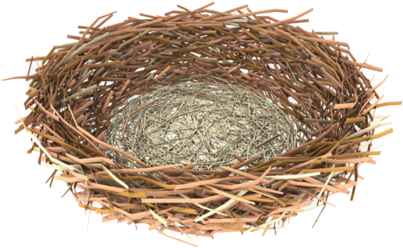 Intricate Bird Nest Structure.png PNG Image