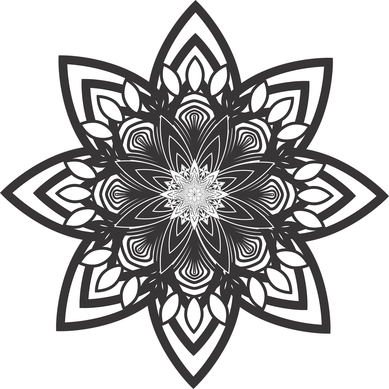 Intricate Blackand White Mandala Design PNG Image