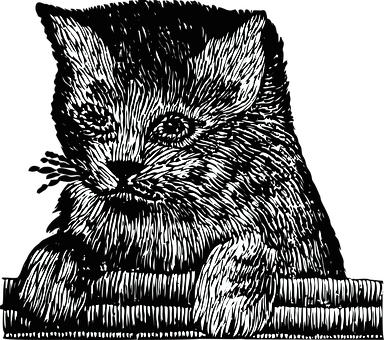 Intricate Kitten Sketch PNG Image