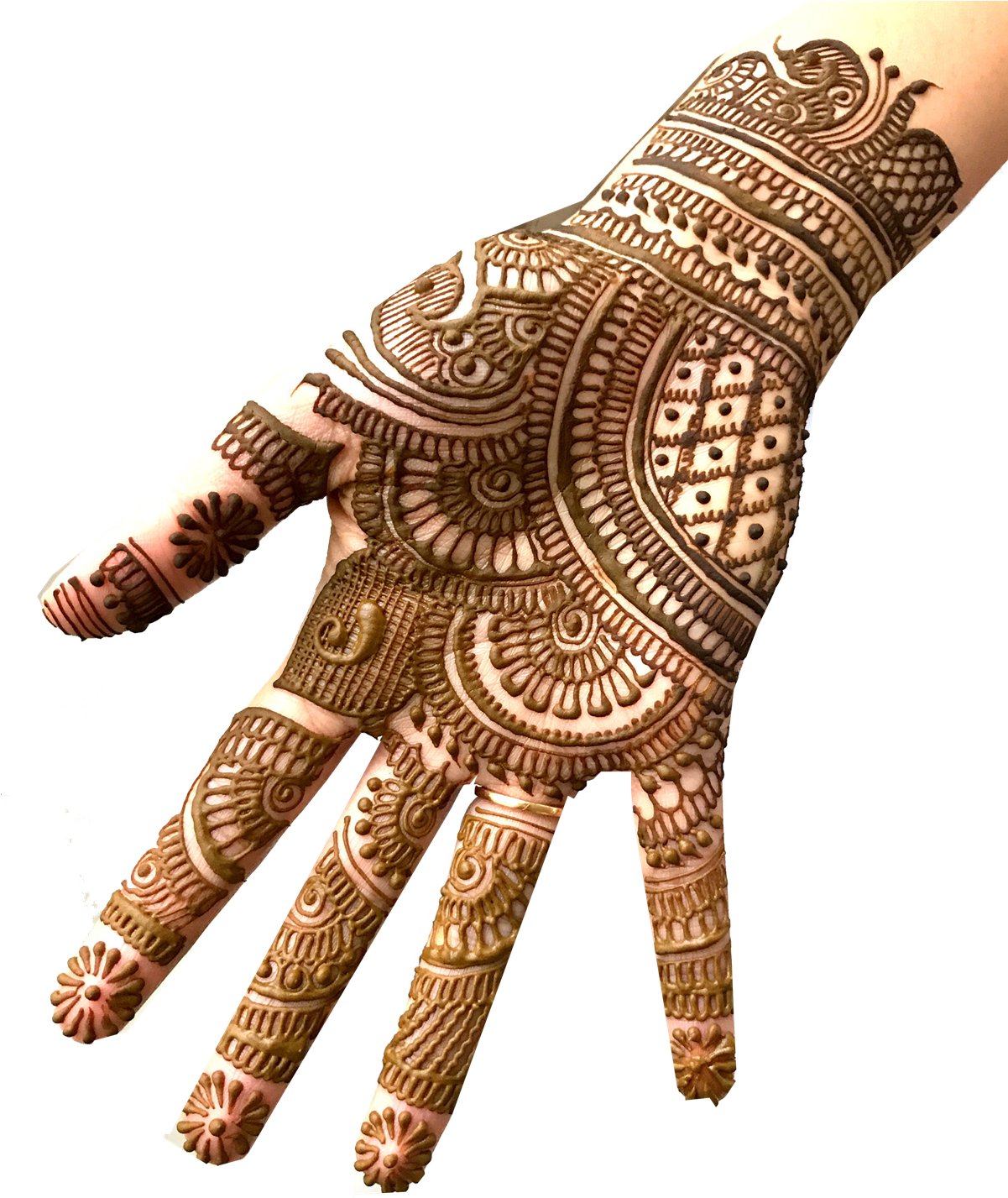 Intricate Mehndi Designon Hand PNG Image