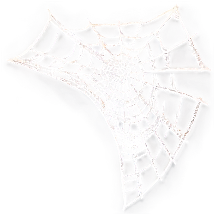 Intricate Spider Web Artwork PNG Image