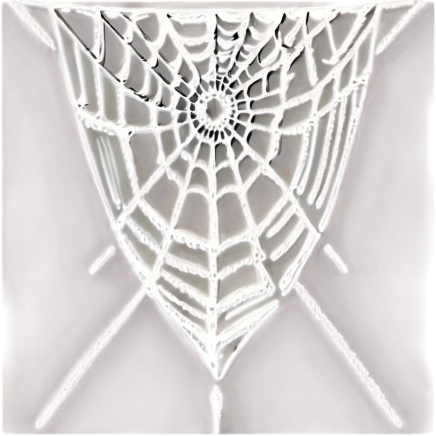 Intricate Spider Web Artwork PNG Image