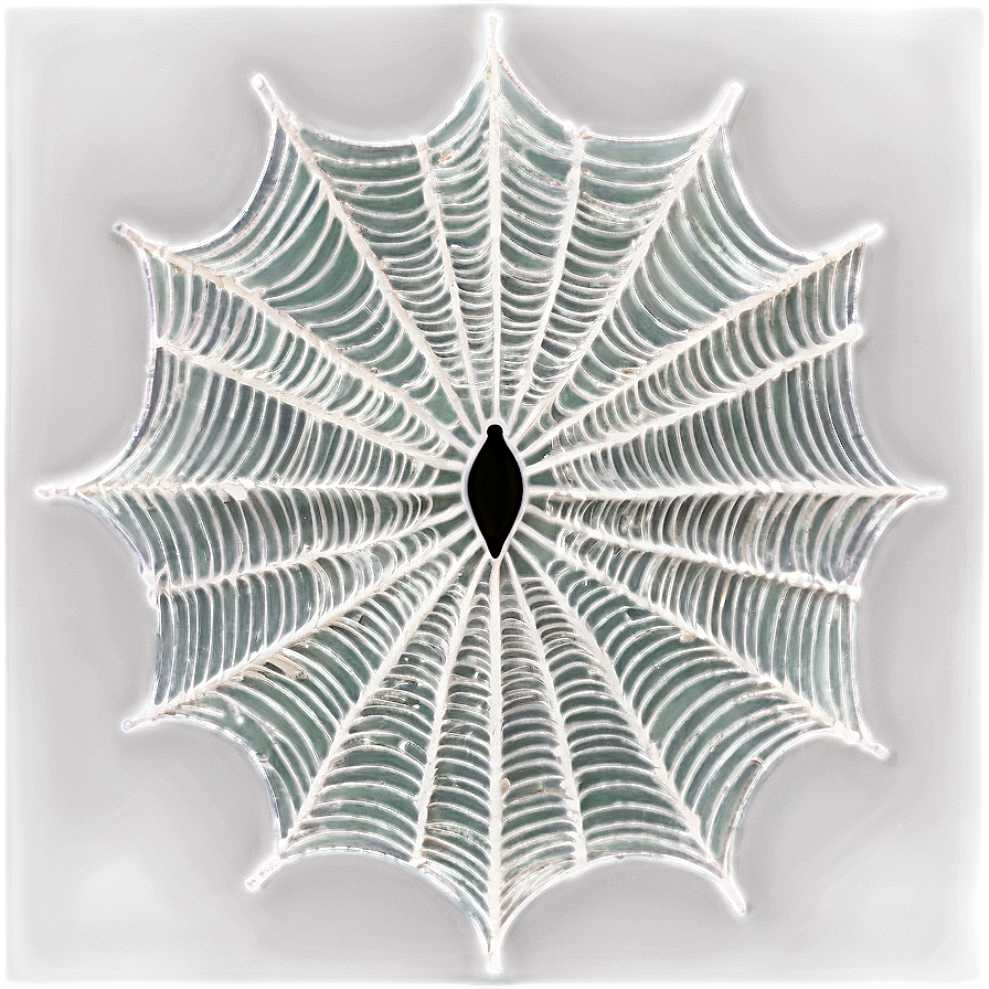 Intricate Spider Web Artwork PNG Image