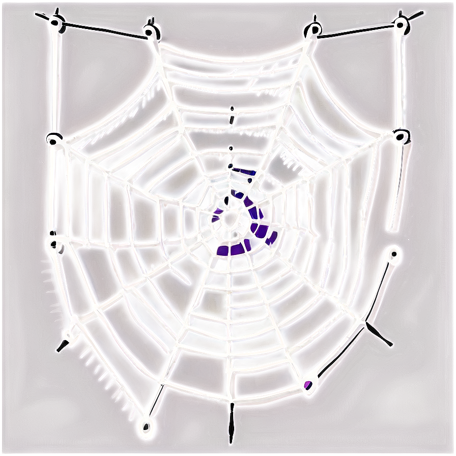 Intricate Spider Web Artwork PNG Image