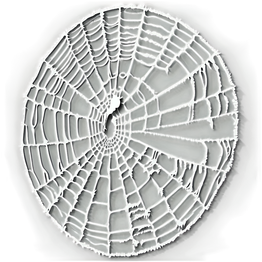 Intricate Spider Web Artwork PNG Image