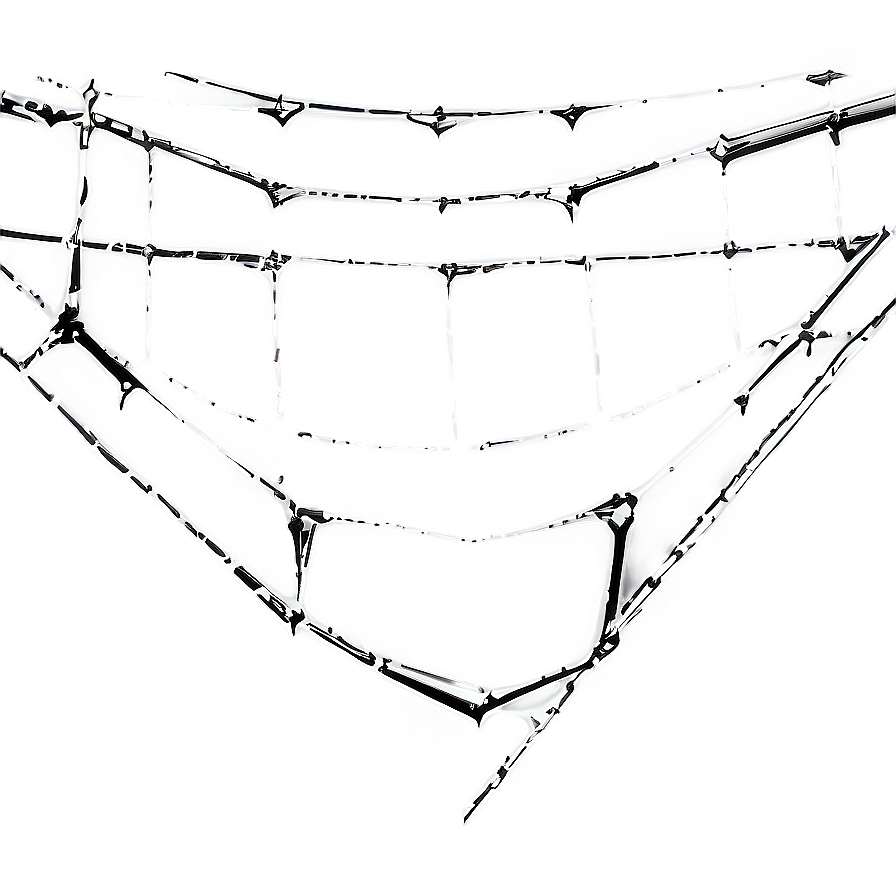 Intricate Spider Web Artwork PNG Image