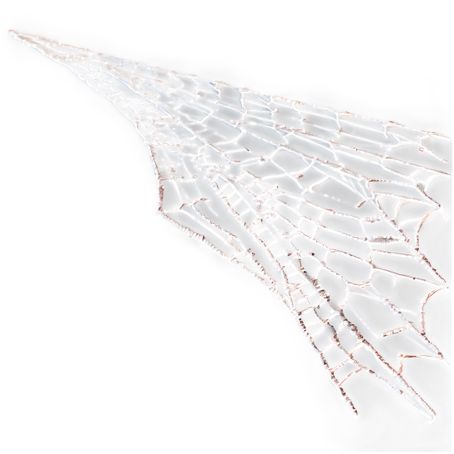 Intricate Spider Web Closeup PNG Image