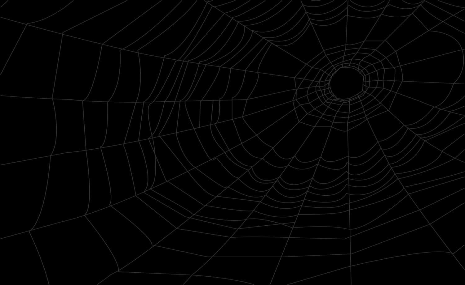 Intricate Spider Web Design PNG Image