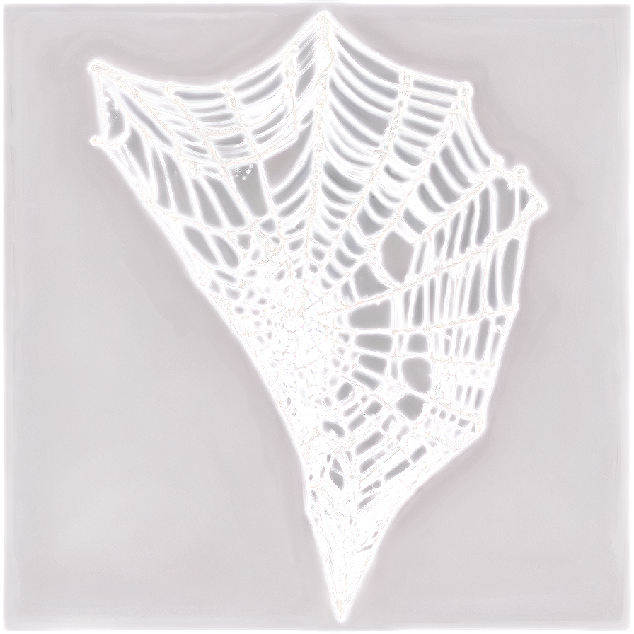 Intricate Spider Web Drawing PNG Image