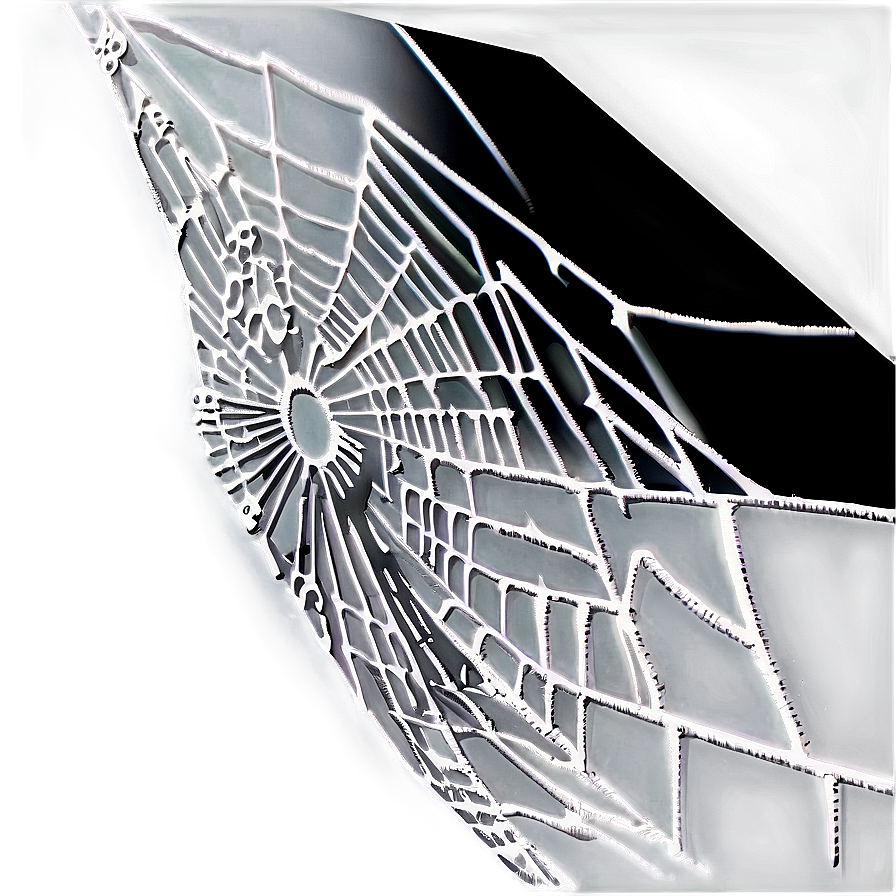 Intricate Spider Web Negative Effect PNG Image