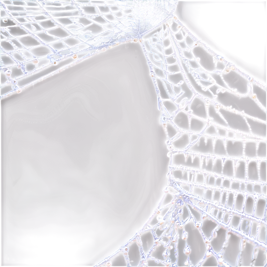 Intricate Spider Web Negative Effect PNG Image