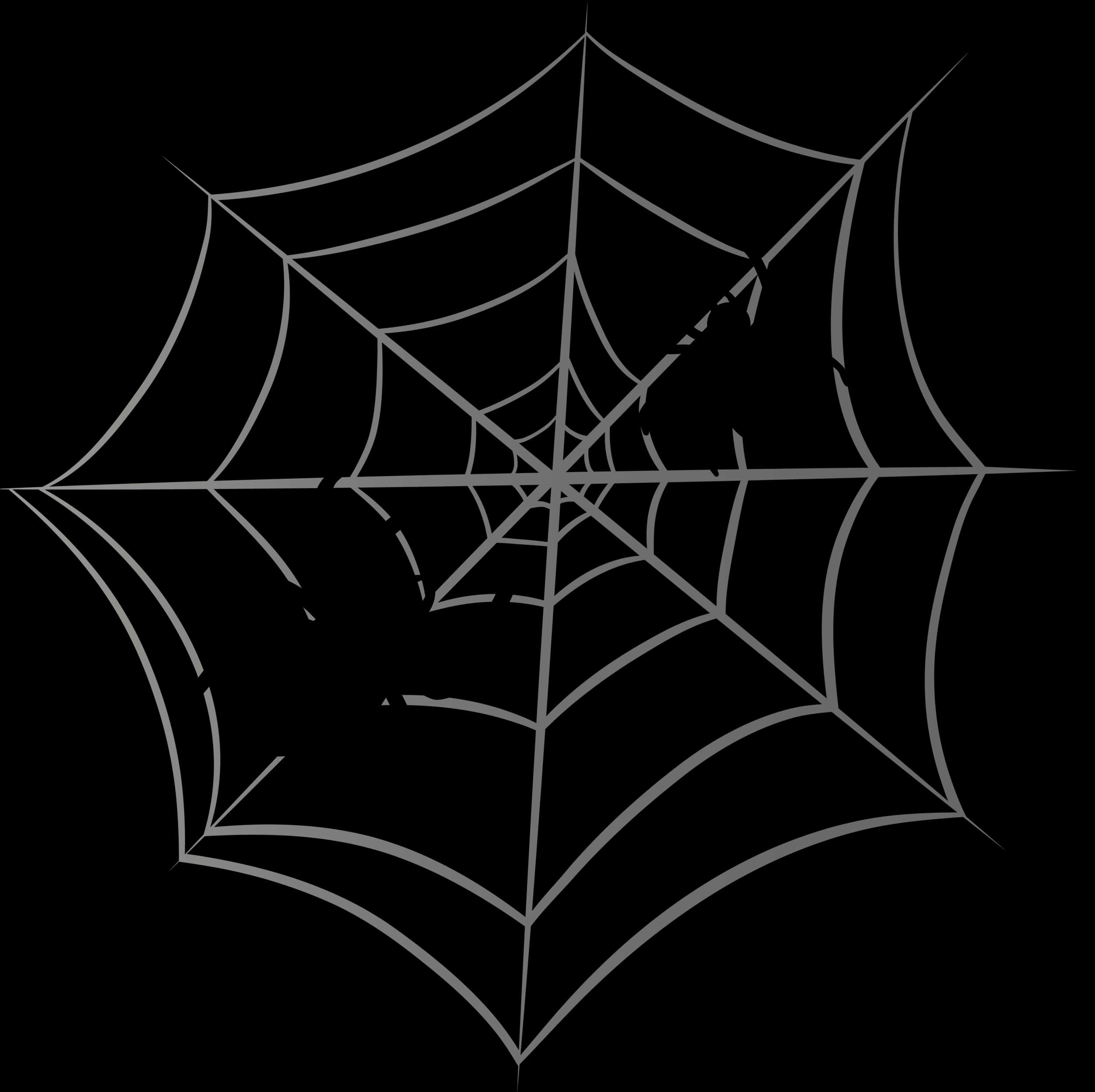 Intricate Spider Webon Black Background PNG Image