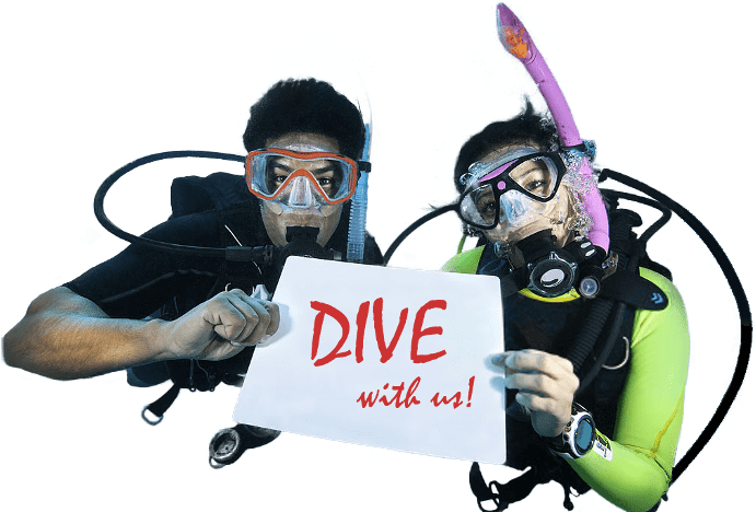 Invitationto Dive Snorkelers.png PNG Image