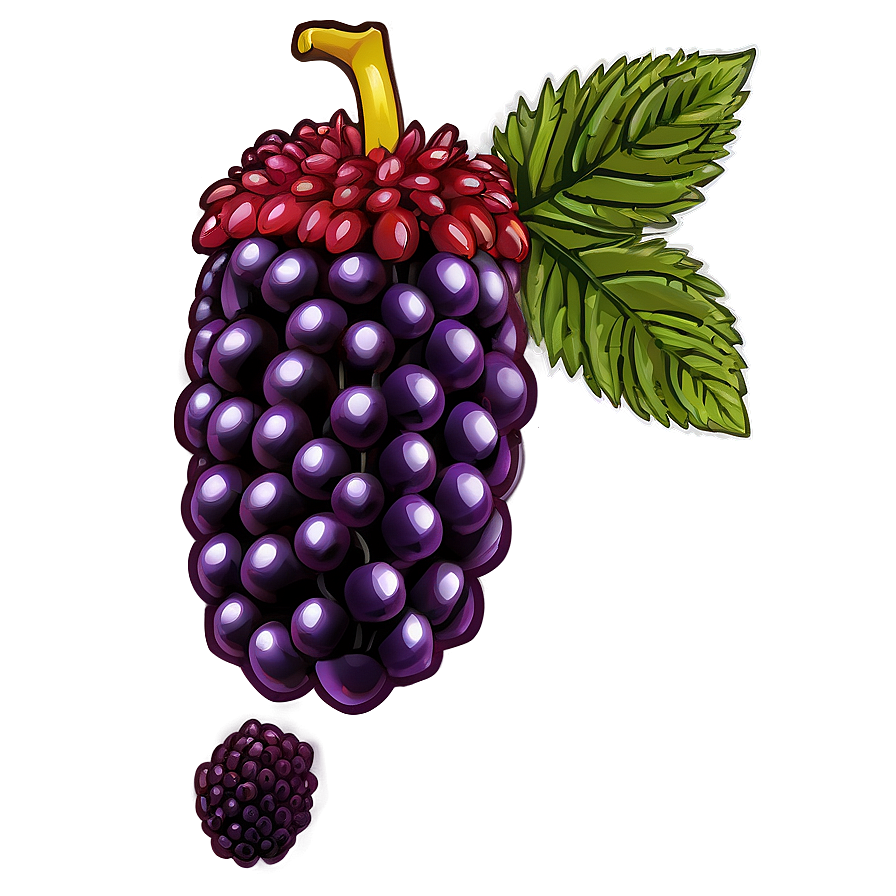 Inviting Loganberry Png Tgk PNG Image