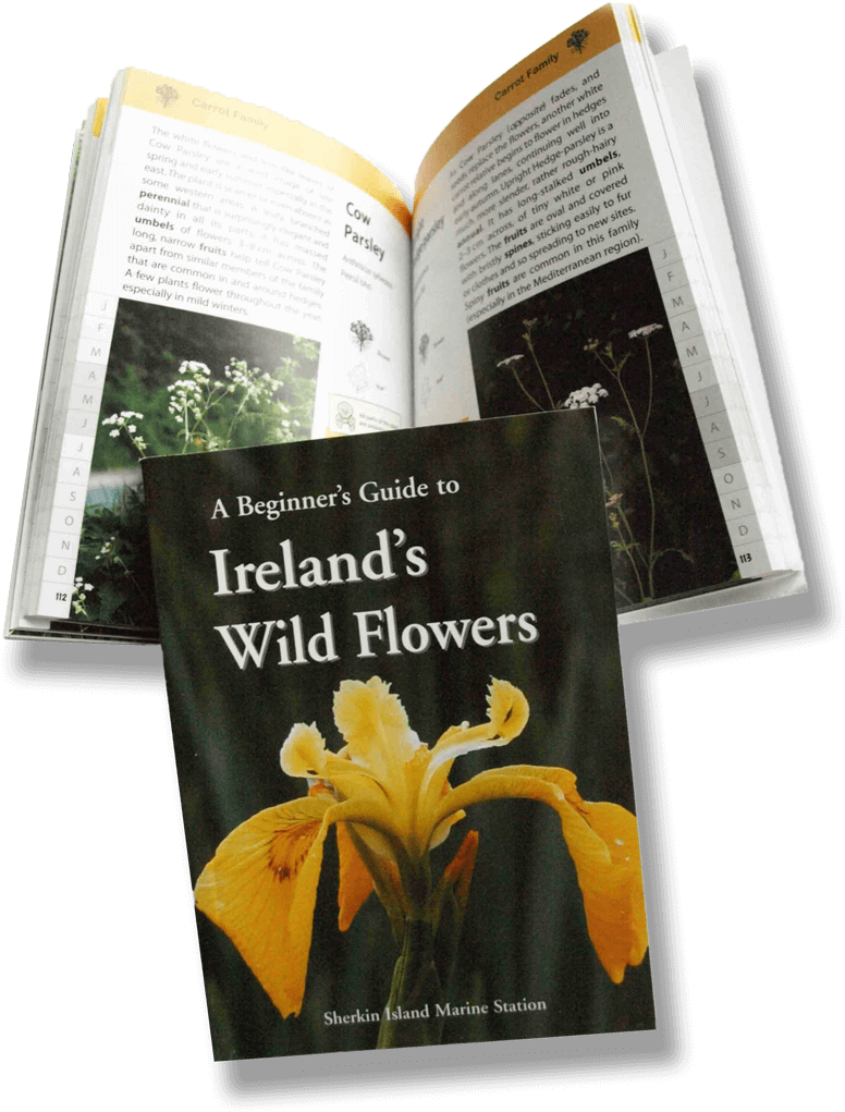 Irelands Wild Flowers Guide Book PNG Image