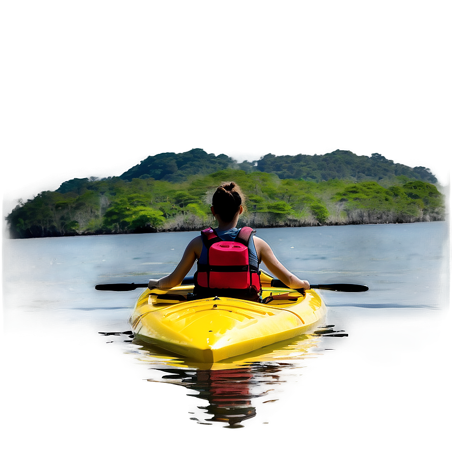 Island Mangrove Kayaking Tour Png Lgd16 PNG Image