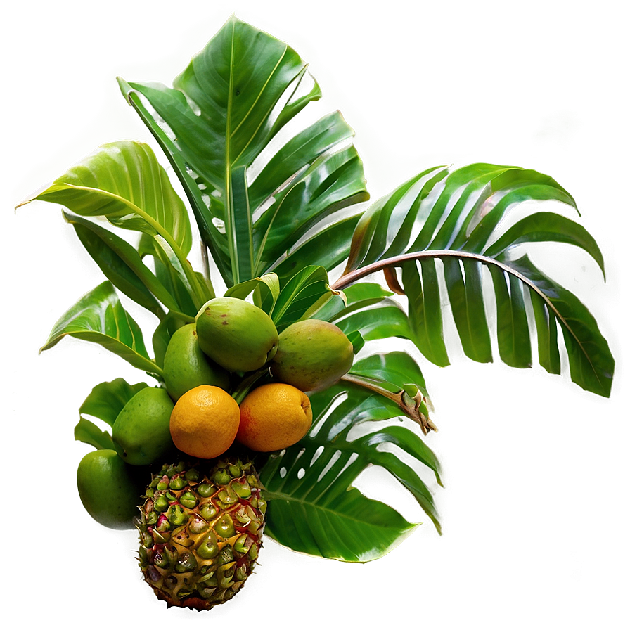 Island Tropical Fruit Harvest Png 05232024 PNG Image