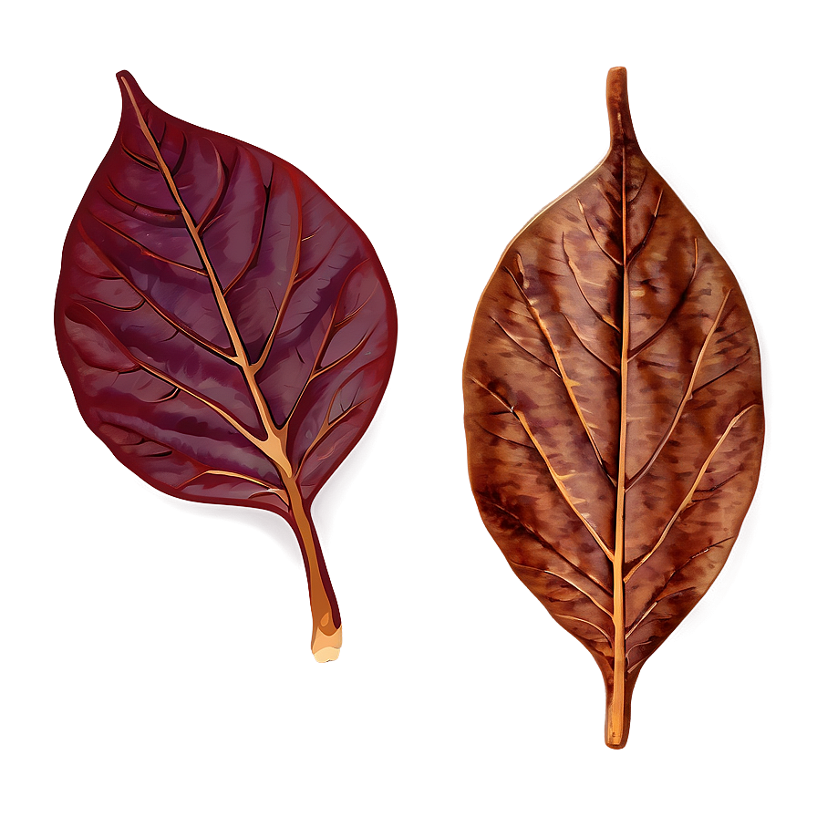 Isolated Fall Leaf Png 75 PNG Image