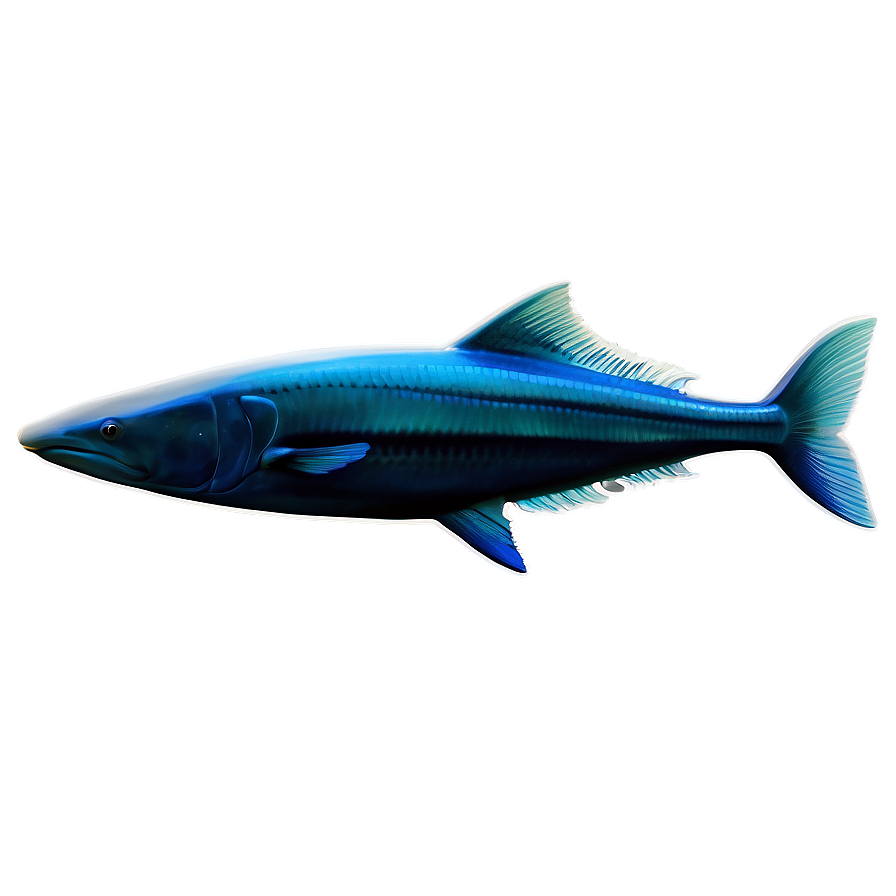 Isolated Fin Png 06272024 PNG Image