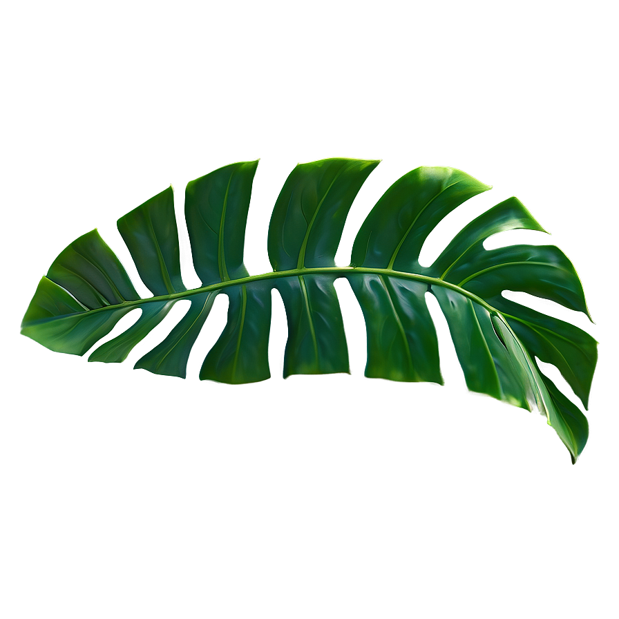 Isolated Monstera Leaf Png 51 PNG Image