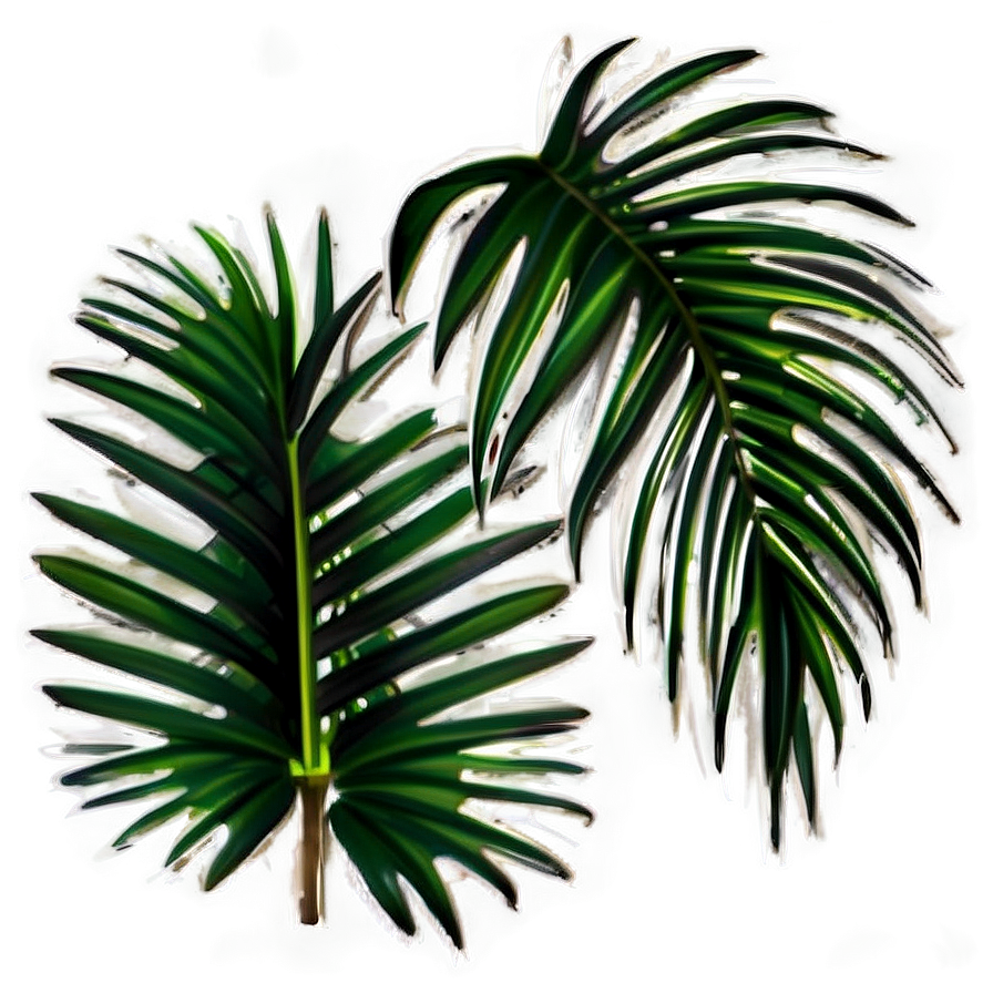 Isolated Palm Leaves Png Qpf PNG Image