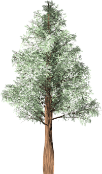 Isolated Treeon Black Background PNG Image