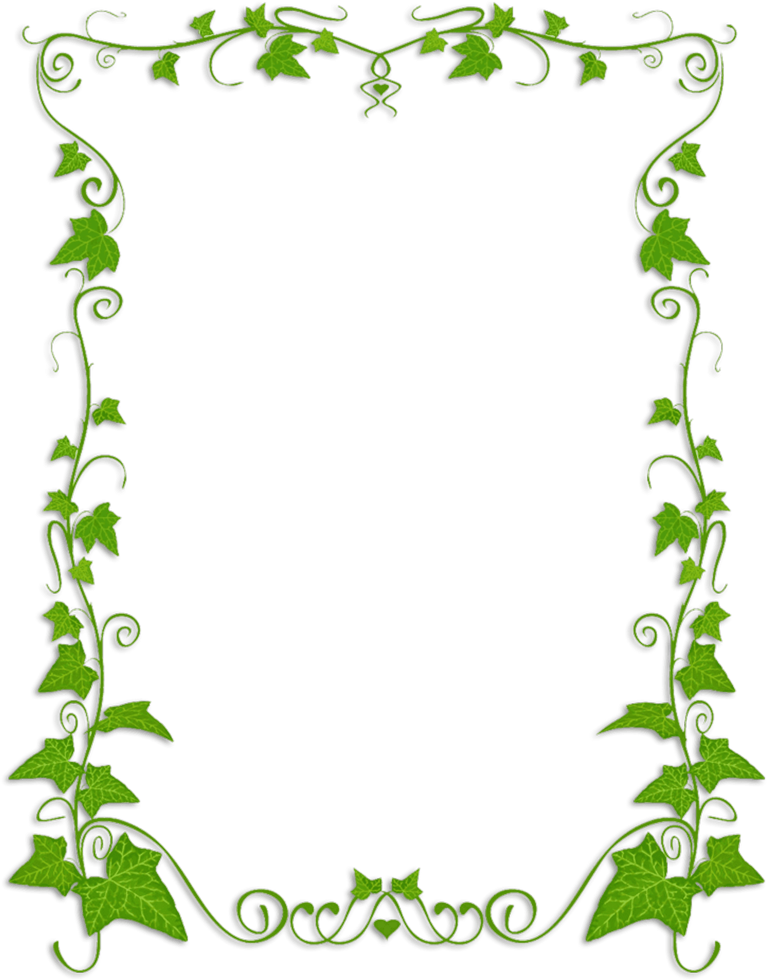 Ivy Frame Border Design PNG Image