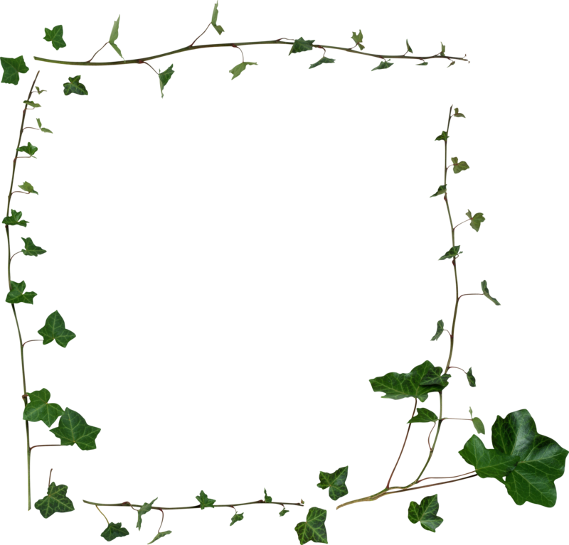 Ivy Vine Frameon Blue Background PNG Image