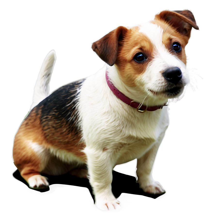 Jack Russell Dog Png Fdo PNG Image