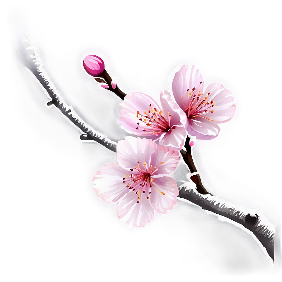 Japanese Cherry Blossom Png Acx PNG Image