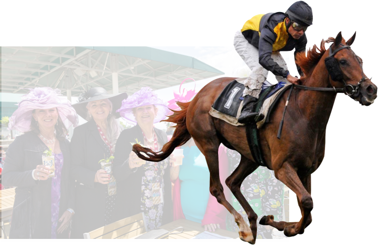 Jockeyand Spectatorsat Racetrack PNG Image