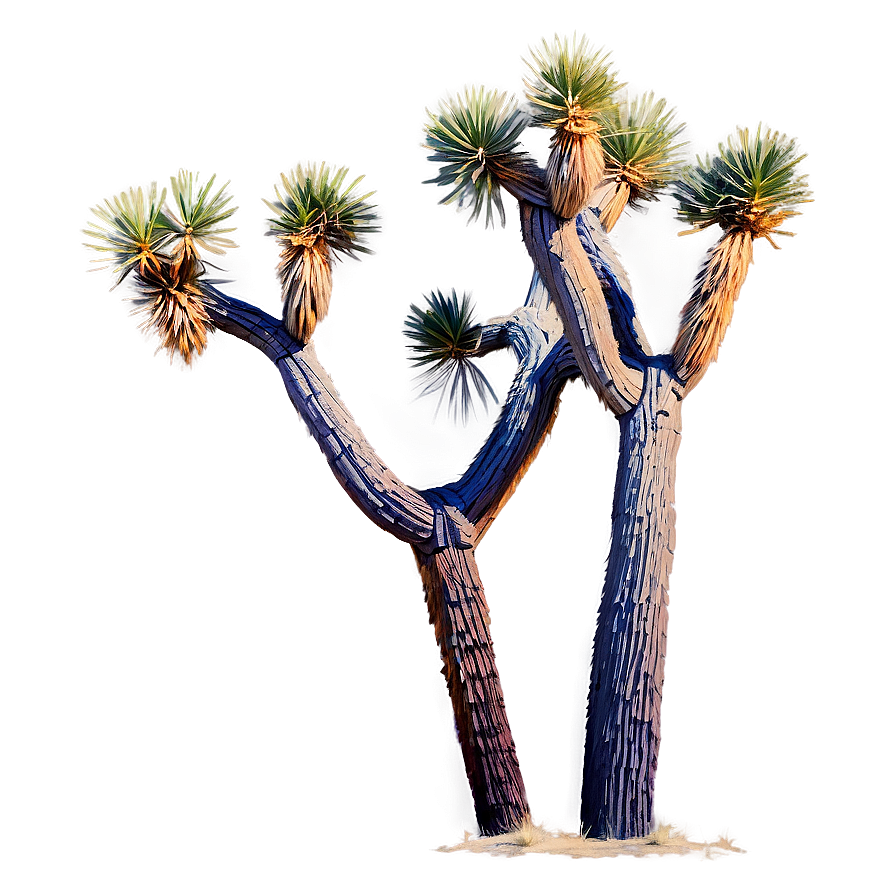 Joshua Tree In Pastel Colors Png Xqu92 PNG Image