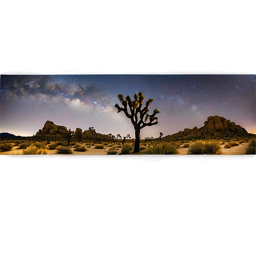 Joshua Tree Night Sky Panorama Png 06262024 PNG Image