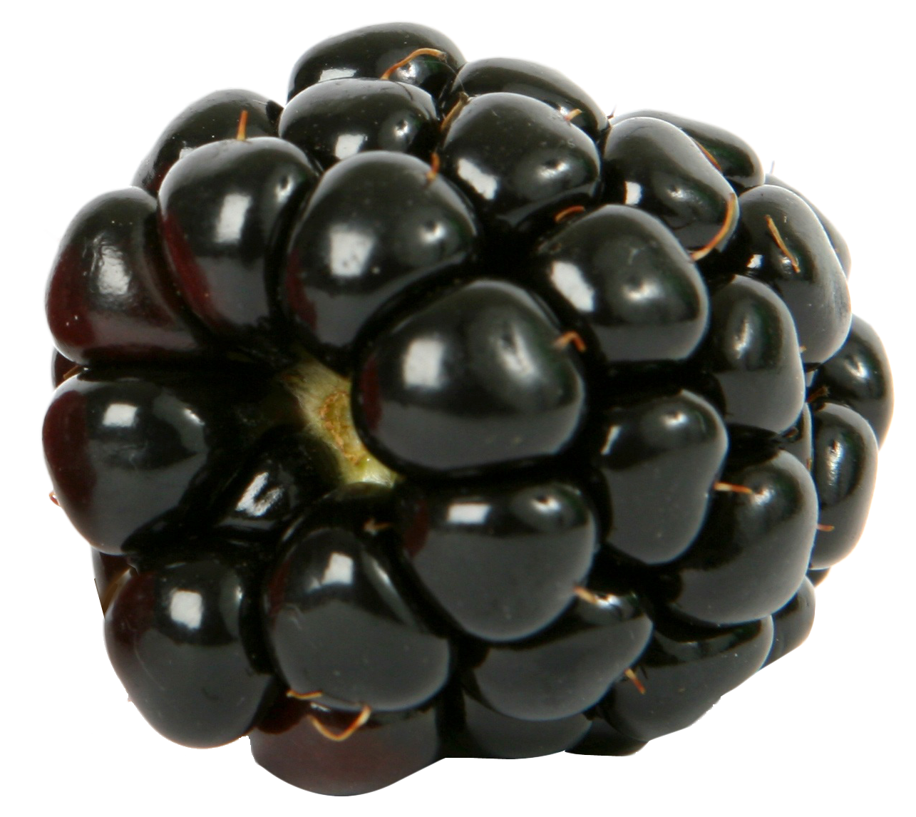 Juicy Blackberry Closeup.png PNG Image