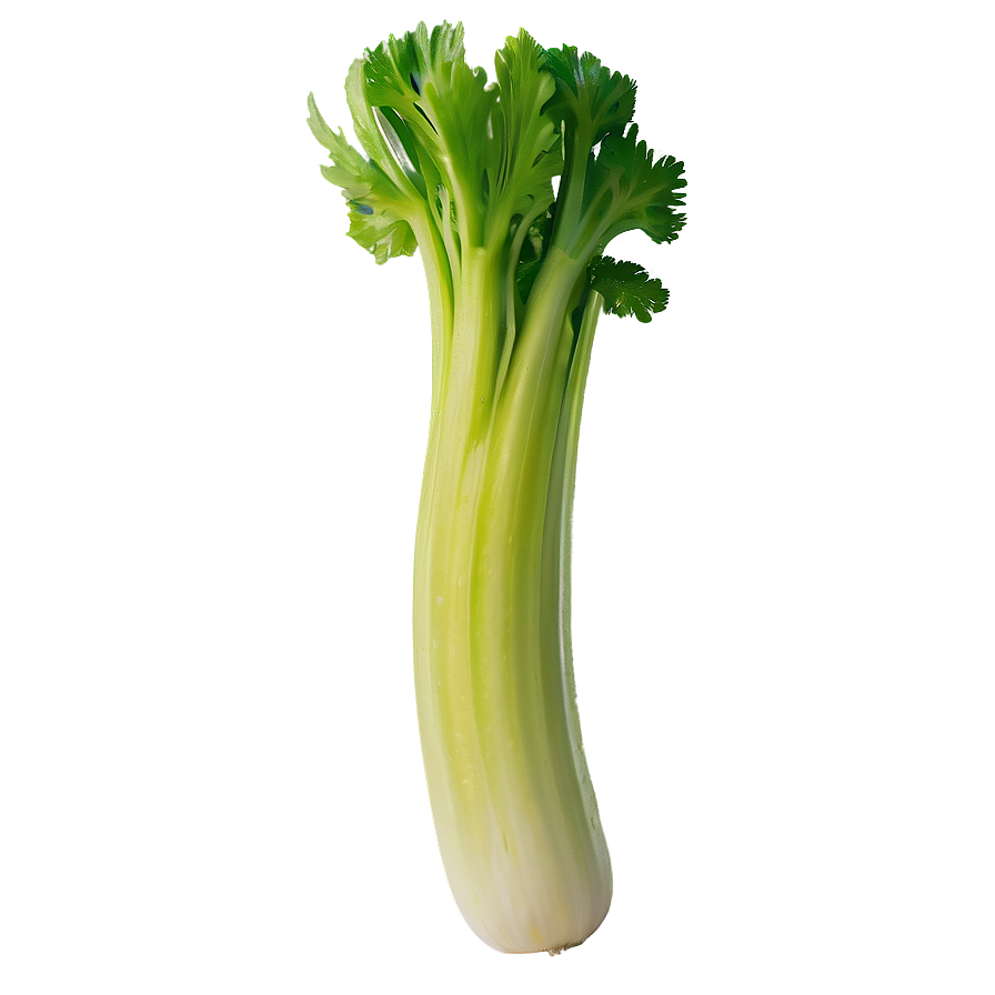 Juicy Celery Png Mnf55 PNG Image