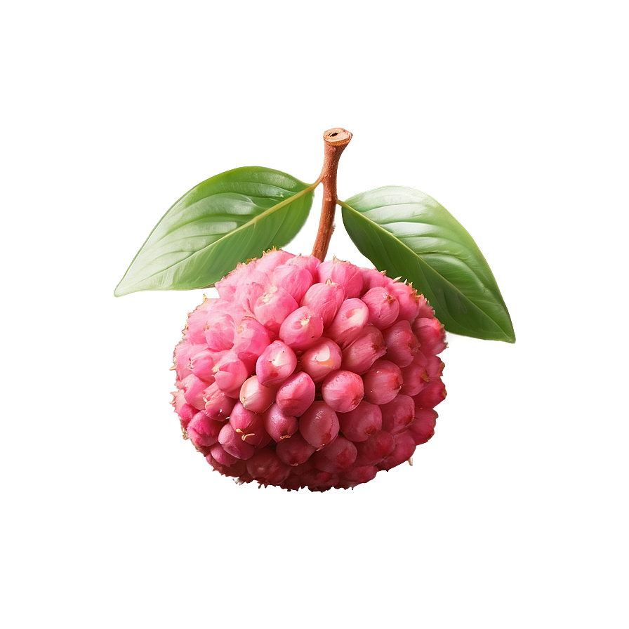 Juicy Lychee Burst Png Tpo4 PNG Image