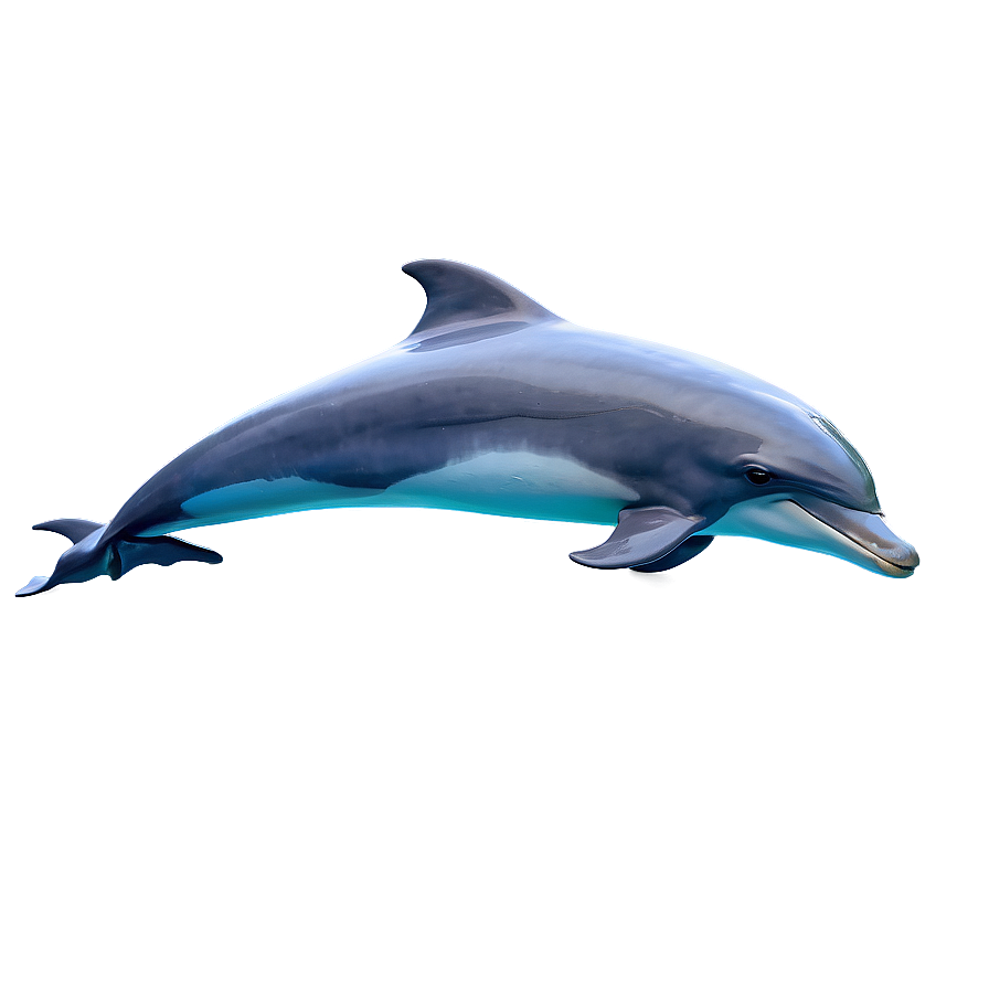 Jumping Dolphins Png 54 PNG Image
