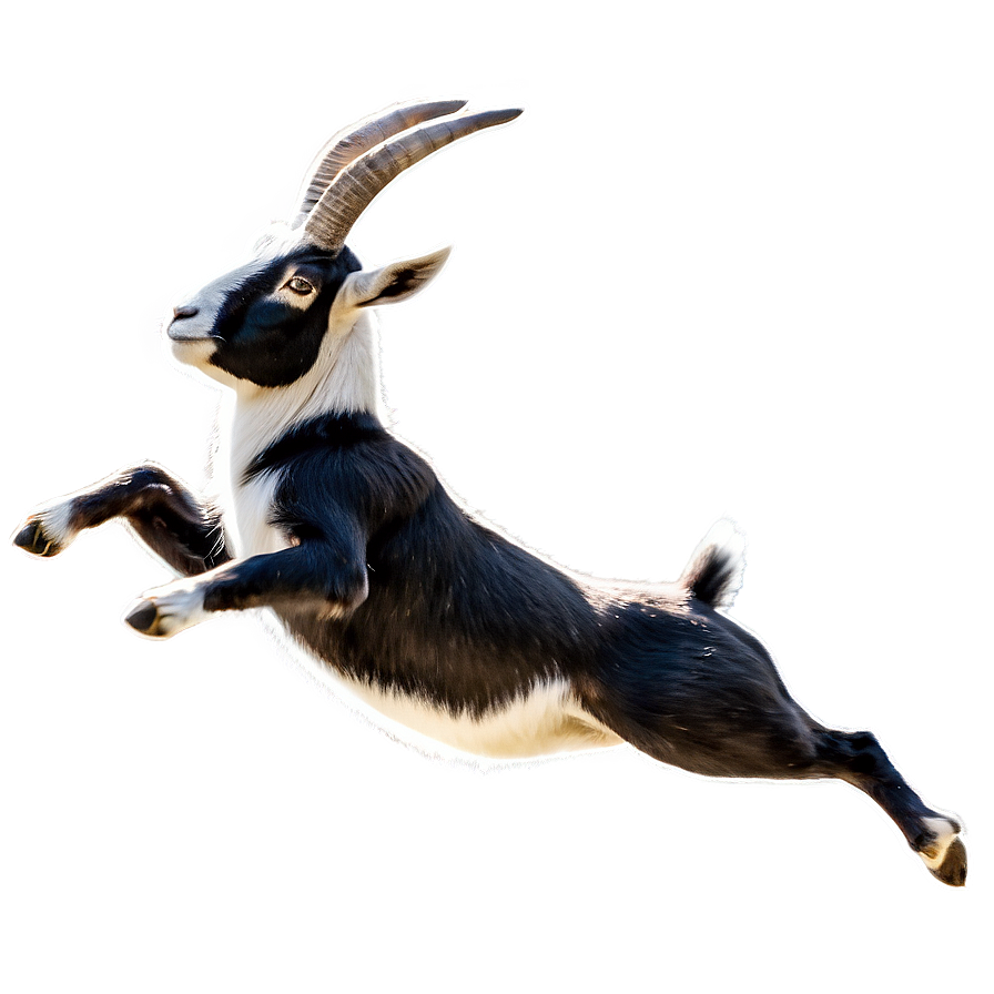 Jumping Goat Png 05232024 PNG Image